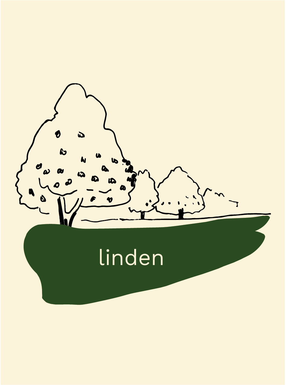 linden with cutout