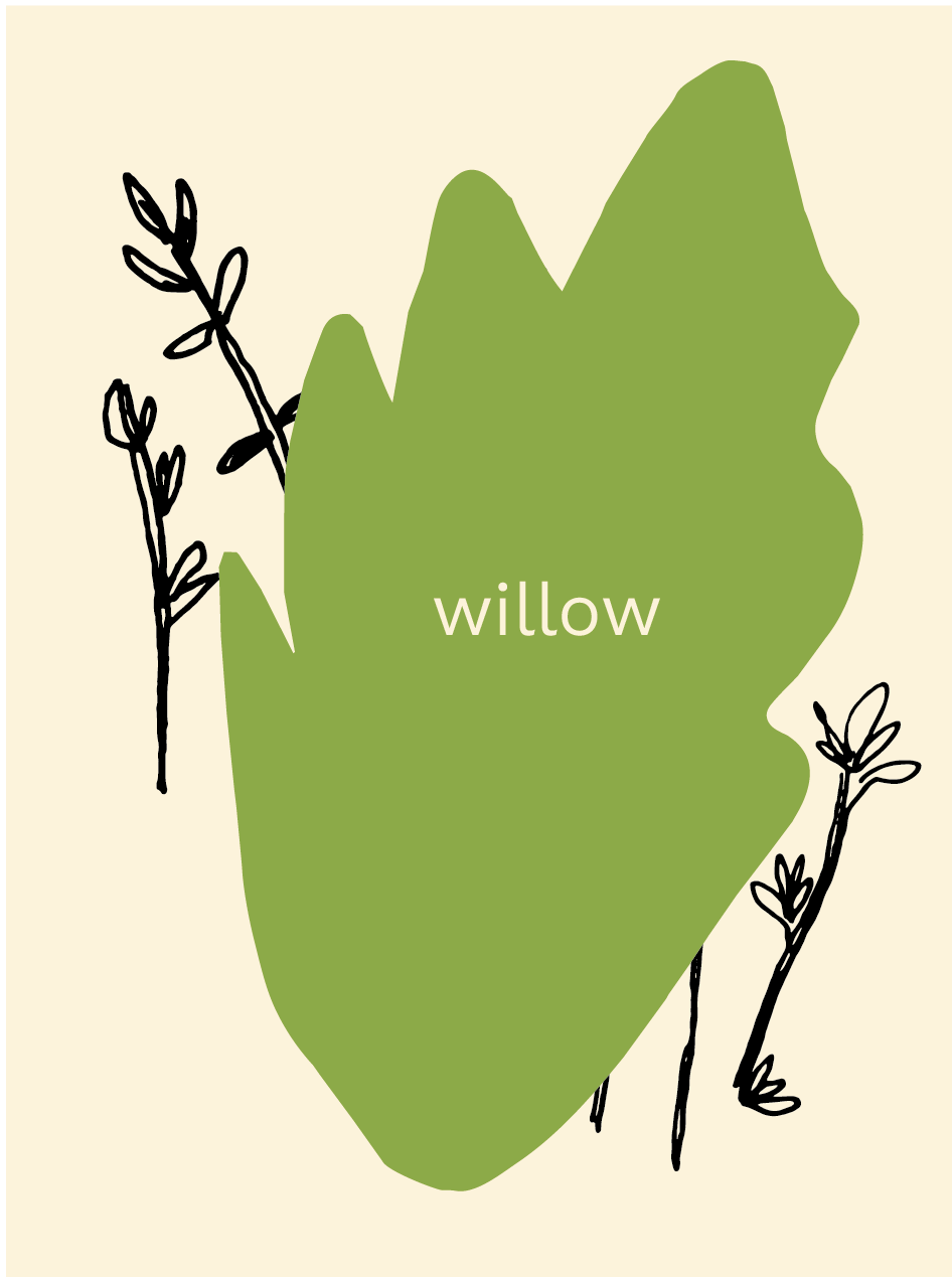 willow with cutout